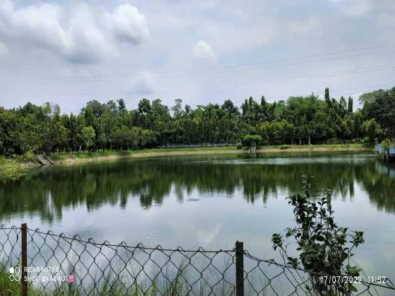 New Jalpaiguri to Maynaguri Cab